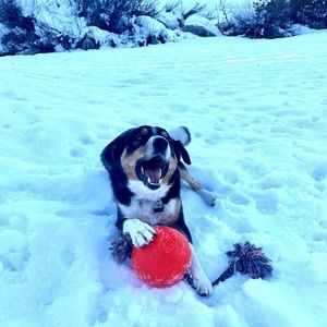 Meet your Posher, Edward